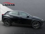 LEXUS UX 250h*LAUNCH*SHZ*CD*NAVI* 15J-GARANTIE*