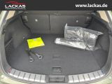 LEXUS NX 350 h 243 PS Executive Inter ieur Paket + Tec