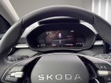 SKODA Fabia Tour Klima Rückfahrkamera Sitzheizung