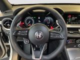 ALFA ROMEO Stelvio Veloce 2.0 Turbo Techno-Paket/Panorama
