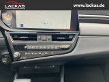 LEXUS ES 300 300h Business Line