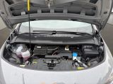 CUPRA Born Klima Einparkhilfe Fenster el.