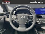 LEXUS ES 300 300h Business Line