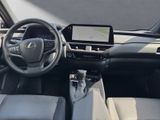 LEXUS UX 250h*EXECUTIVE*PREM* SCHIEBED.*15J-GARANTIE