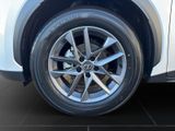 LEXUS LBX Basis*1.5*KOMFORT-PAK.*SHZ 15J-GARANTIE