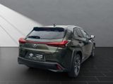 LEXUS UX 250H*1HAND*TOTW*SCHECKHEFT*