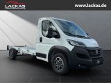 FIAT Ducato Maxi 35L5H1 FAHRGESTELL 180PS AUTOMATIK N