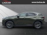 LEXUS NX 350 h 243 PS Executive Inter ieur Paket + Tec