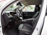 MERCEDES-BENZ GLB 220 4M // SPUR KAMERA PDC SHZ