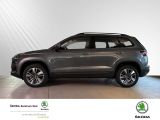 SKODA Karoq Selection Klima Einparkhilfe Fenster el.