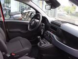 FIAT New Panda Pandina Pop