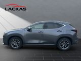 LEXUS NX 350h Executive*HUD*SHZ*MEMORY* 15J*E-Four
