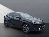 LEXUS UX 250h STYLE EDITION*LED*KAM* CARPLAY*GARANTIE