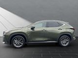 LEXUS NX 350h Executive Line 350h