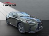 LEXUS NX 350h Executive Line 2.5*360° Kamera*Memorysit