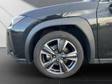 LEXUS UX 250h*EXECUTIVE*PANO*PREMIUM*1HD*PANO* HUD*