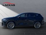 LEXUS NX450H+ Executive Panorama
