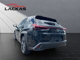 LEXUS UX UX Crossover Style Edition 250h Frontantrieb