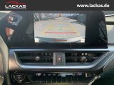 LEXUS UX 300h F-SPORT DESIGN*TOTW*FA CELIFT*GARANTIE*
