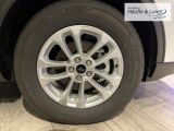 FORD Kuga Plug-In Hybrid Titanium LED Navi Rückfahrkam.