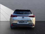 LEXUS UX 250h Style Edition SITZ&LENKRADHEIZUNG+DAB