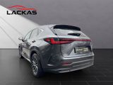 LEXUS NX 350h Business*360°*TOTW*PDC*SITZLÜFTUNG*