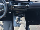LEXUS UX 300h F Sport HuD+LEDER+MEMORY+SITZKLIMA