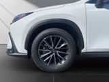 LEXUS NX 450h Executive Panorama