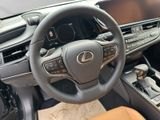LEXUS ES 300 300h Business Line