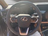 LEXUS NX 450h Executive, Interieur+Technologie Paket