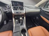 LEXUS NX 300 h E-Four Luxury *HUD*PANO*360*