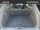 FORD Puma ST-Line 1.0 Navi Tempomat EcoBoost Mild Hyb