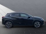 LEXUS UX 250h*EXECUTIVE*PANO*PREMIUM*1HD*PANO* HUD*