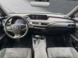 LEXUS UX 250h *lenkH*sitzH*Kamera*