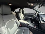 LEXUS UX 250H*SCHECKHEFT*TOTW*LEDER*