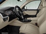 BMW X3 xDrive20d Pano, Komfortzugang, Ambiente