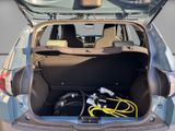 DACIA Spring Extreme Electric 65
