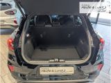 FORD Puma ST-Line 1.0 EcoBoost MHEV -360°Kamera-Sensorg.Heckklappe-