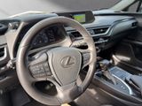 LEXUS UX 250 h Style Edition*Navi*11J.Garantie*