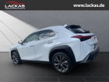 LEXUS UX 300h F-SPORT DESIGN*TOTW*FA CELIFT*GARANTIE*