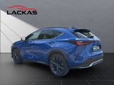 LEXUS NX 450h 450 h+ F-Sport, AHK