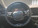 SKODA Scala 1.0 TSI Selection Einparkhilfe