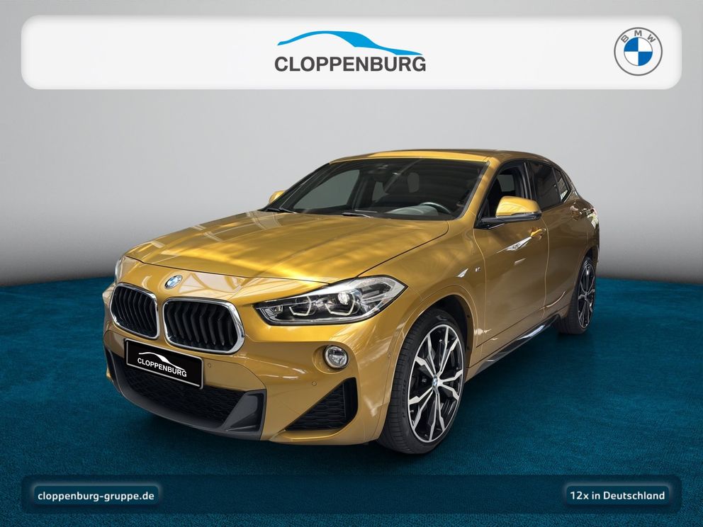BMW X2 xDrive20d (2016 - 2024) M Sport Navi+Kamera