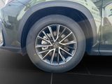 LEXUS NX450H+ Executive Panorama Int+Technologie Paket