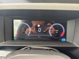FIAT Scudo KaWa L2 Basis 2024 Laderraumboden