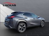 LEXUS UX 250 h Executive Line
