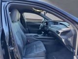 LEXUS UX 250h Style SHZ Kamera Alu