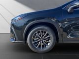 LEXUS NX450H+ Executive Panorama