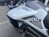 TRIUMPH Tiger 1200 GT PRO MY25