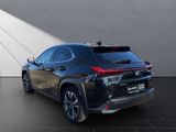 LEXUS UX 250h Style SHZ Kamera Alu